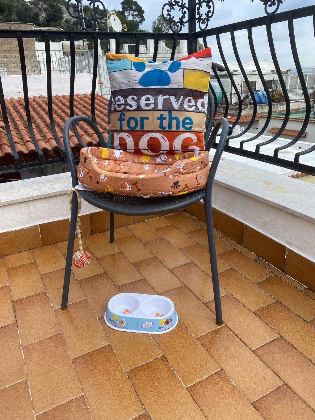 Villa La Casa Rosa Di Giulia Ischia Exterior foto